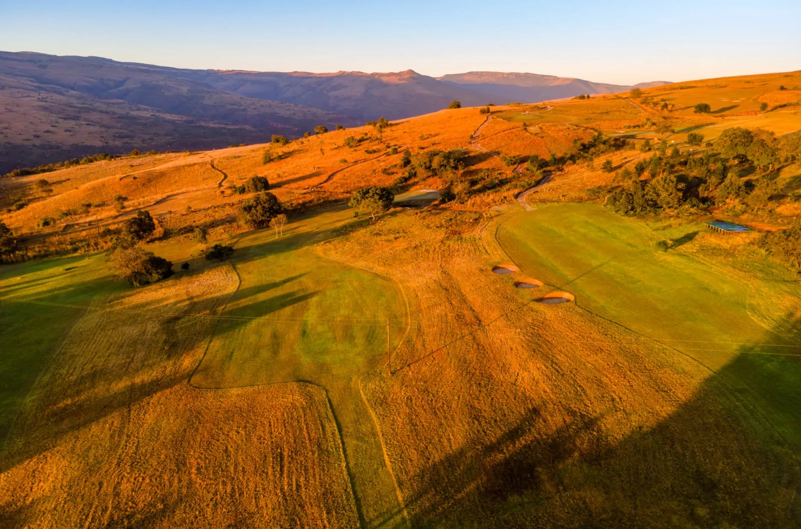 The fairways from the air in early light