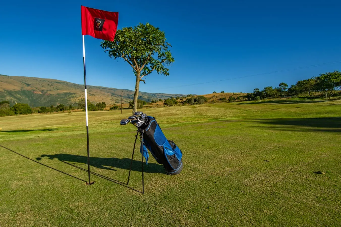 A golf bag beside the flag on a green